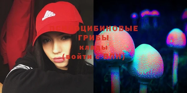 гидра Рославль
