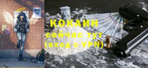 гидра Рославль