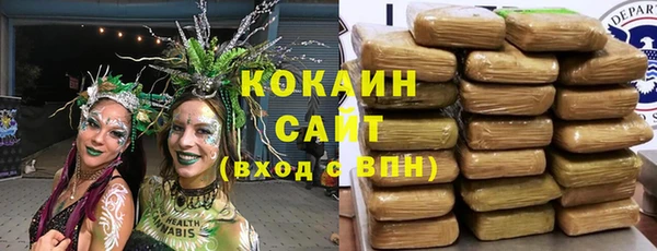 PSILOCYBIN Ростов