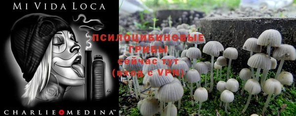 Альфа ПВП Россошь