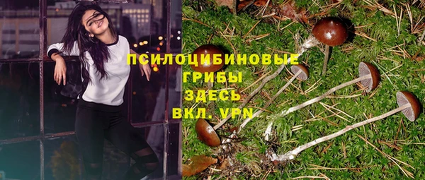 гидра Рославль